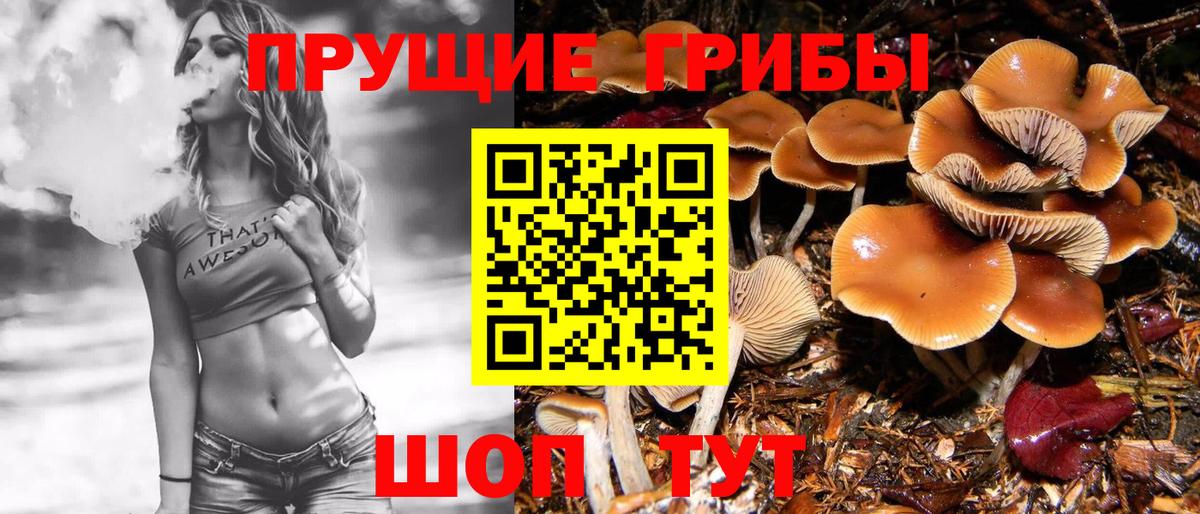 Псилоцибиновые грибы мухоморы Орск