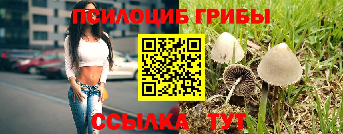 Орск  Псилоцибиновые грибы Magic Shrooms  Вход с VPN  Галлюциногенные грибы мухоморы 